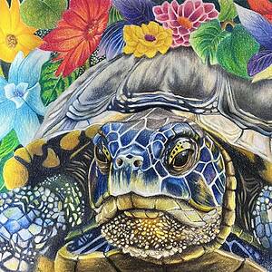 Nature’s Slow Bloom