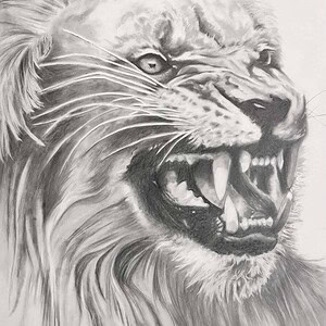 Untamed Spirit